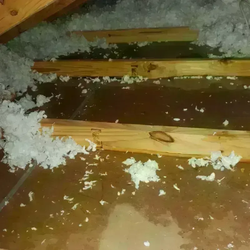 Attic Water Damage in Robeson County, NC